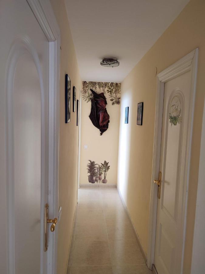 Apartamento En Playa Semi-Privada Benalmádena Zewnętrze zdjęcie